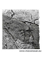 Obrázok pre BACK TO NATURE Slimline Basalt/Gray 60A, 50x55 cm